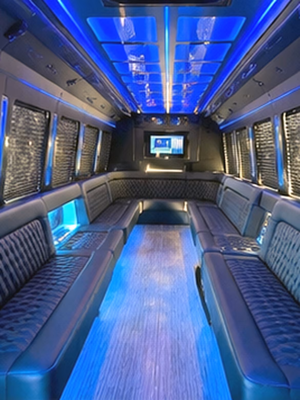 18 Passenger Party Bus Interior