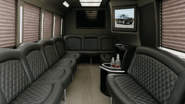 25 passenger party bus interior